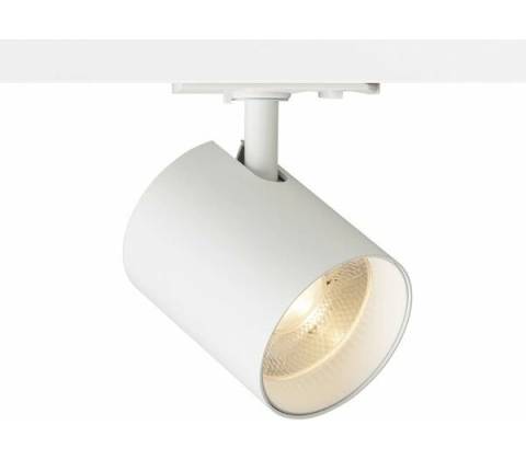 RENDL R14476