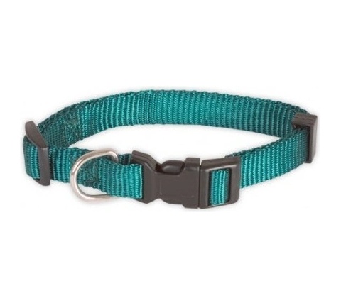 Doogy obojek Basic Nylon