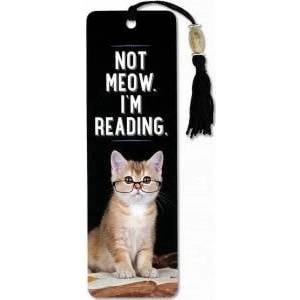 Peter Pauper Press Book fold Outdoor activities Cat