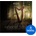 Sonuscore Celestial Harp (Дигитален продукт)