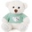 Амек Тойс Плюшена играчка Амек Тойс - Мече със зелена тениска, 20 cm (010189-1)