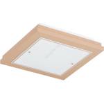 Argon 1866 - Плафон TABOR 4xE27/15W/230V 42x42 см бежов (AR1866)
