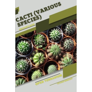 Cacti (various species) | Tetiana Sabanen (2023)