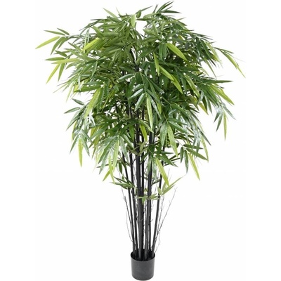 Bambus Black Natural, 150cm