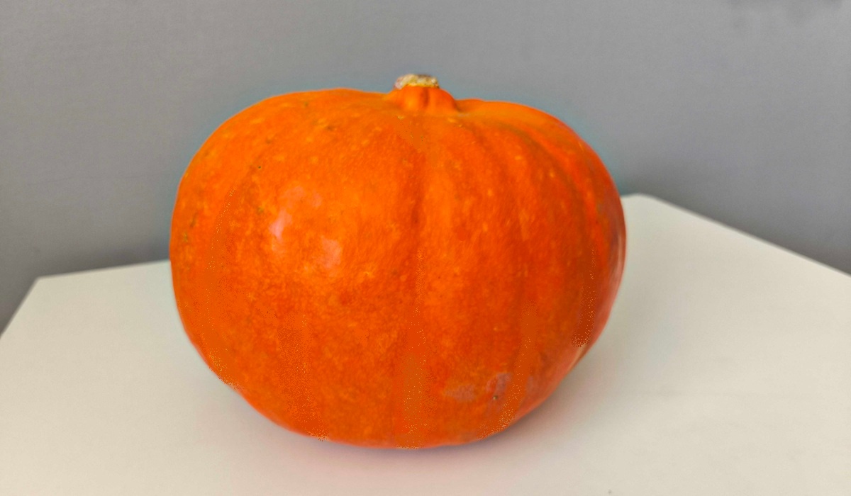 Dýně Hokkaido připravená na vydlabávání