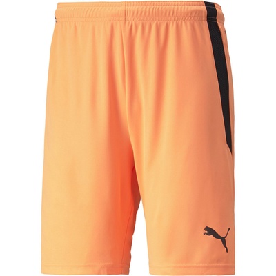 PUMA Team liga shorts xl