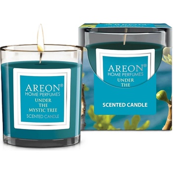 Areon Ароматна свещ Areon Classic - Under the Mystic Tree, 120 g (CR06_G01)