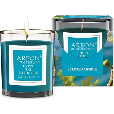 Areon Ароматна свещ Areon Classic - Under the Mystic Tree, 120 g (CR06_G01)