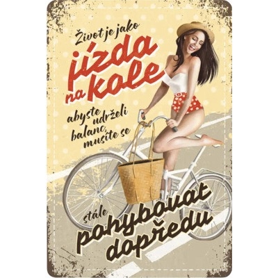 Postershop Plechová ceduľa: Život je jak jízda na kole - 20x30 cm