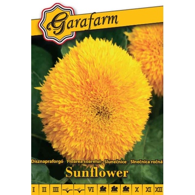 Slnečnica ozdobná plnokvetá 1g