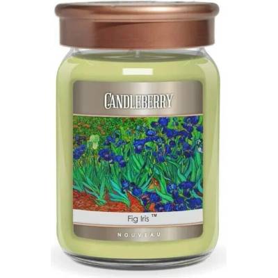 Candleberry NOUVEAU Fig Iris 624 g