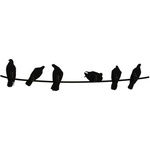 Covo Закачалка Birds On Wire (HA01 BK)