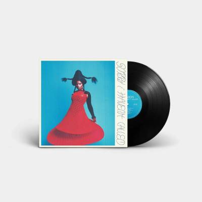 VAGABON - SORRY I HAVEN\'T CALLED LP