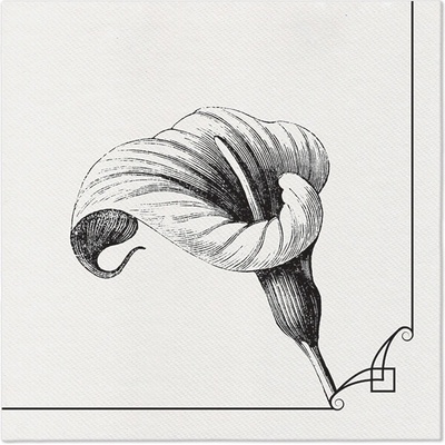 PAW Obrúsky Airlaid Memory flower 40x40cm