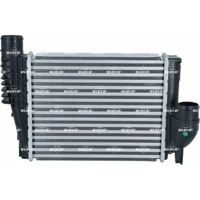 Chladič plniaceho vzduchu NRF 309077