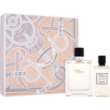 Hermès Terre d´Hermès подаръчен комплект: EDT 100 ml + душ гел 80 ml за мъже