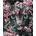 Norimpex - Puzzle Diamant painting: Kitten in flowers 30x40cm - 1 - 39 piese