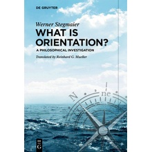 What Is Orientation?: A Philosophical Investigation Stegmaier WernerPaperback