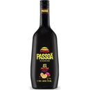 Passoã 17% 1 l (holá láhev)