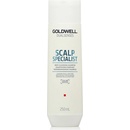 Goldwell Dualsenses Deep Cleansing Shampoo 250 ml