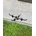 DF models SkyWatcher EasyFly RTF