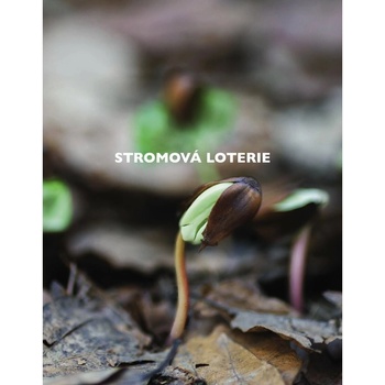 Tajný život stromů. Co cítí, jak komunikují - objevování fascinujícího světa - Peter Wohlleben výpravné vydání CZ