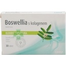 Favea Boswellia s chondroitinem a kolagenem 30 tablet