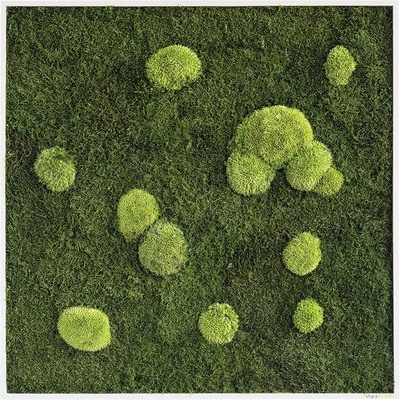 Machový obraz styleGREEN 60x100 cm