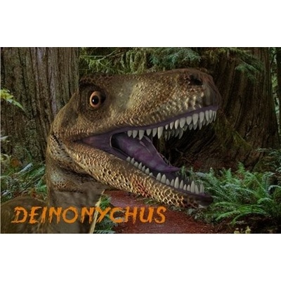 (B) 3D pohľadnica Deinonychus