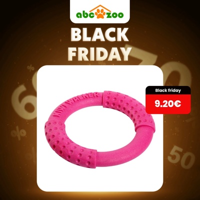 Kiwi Ring Maxi plovoucí a létající růžová 18 cm