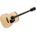 Ibanez PF15-NT