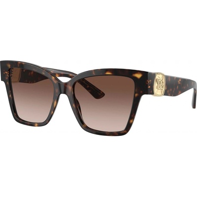 Dolce & Gabbana DG4470 502 13