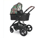 Image 1 of Lorelli Boston