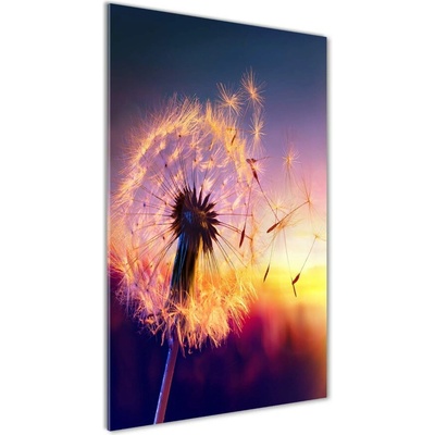 Vertikálny foto obraz fotografie na skle Púpava 50x100 cm