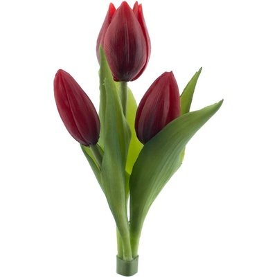 Tulipán x3 Sally' svazek červený V16 cm