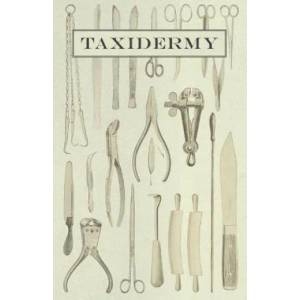 Taxidermy | Anon (ISBN: 9781445509198)