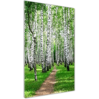 Vertikálny foto obraz fotografie na skle Brezový les 50x100 cm