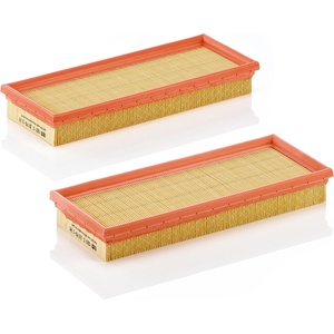 Mann-filter Въздушен филтър mann-filter c 3170/1-2 Въздушен филтър
