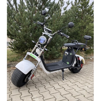 EcoWheel GR10X COC 40Ah