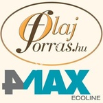 4MAX 55Ah 470A right+