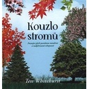 Kouzlo stromů