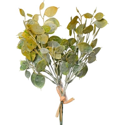 ZÁPICH LUNARIA ZELENÁ ZV/5 32CM