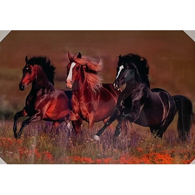 Bondecor Obraz "Koně na louce" - tisk na papír na MDF desku, 70 x 50cm