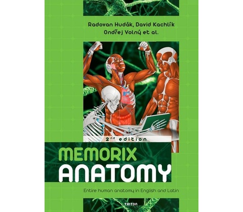Memorix anatomy