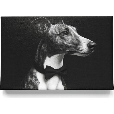 KRAFTHOUSE.EU Váš mazlíček v Prémiovém stylu – obraz na plátno Premium Canvas | Různé rozměry Velikost: 50 x 50 cm