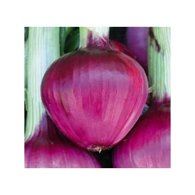 Семена на сладък Червен Лук - Tropea Rossa Tonda - 5 гр (305616)