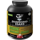 GF nutrition Diamond MASS 3000 g