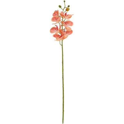 KS ORCHIDEA x7 73CM RUŽOVOŽLTÁ