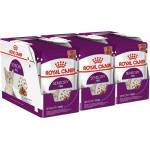 Royal Canin FHN Sensory Feel Gravy 36 x 85 г