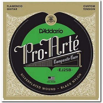 D'ADDARIO EJ25B